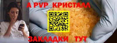 Альфа ПВП Будённовск
