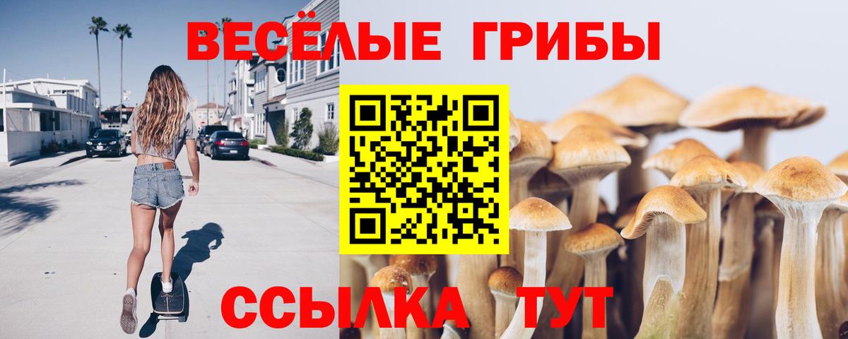 Галлюциногенные грибы мицелий  Вход с VPN  Нижнеудинск  Псилоцибиновые грибы Psilocybe 