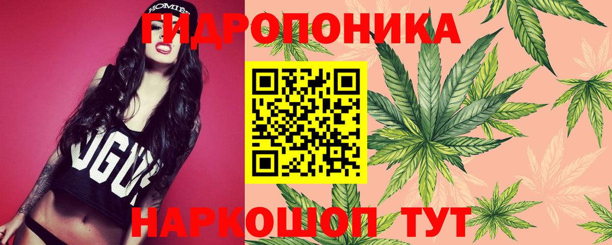 Марихуана Amnesia Нижнеудинск