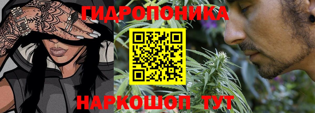 Бошки Шишки конопля  Марихуана семена  Канабис план  Нижнеудинск  Вход с VPN 